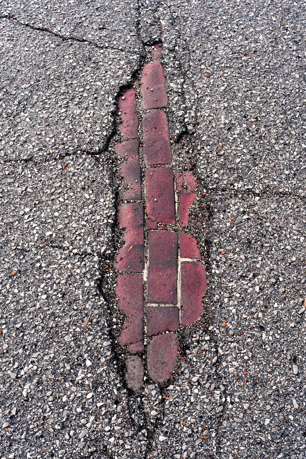 Staff Photo by Robin Rudd / The asphalt is unzipped revealing a slice of Mitchell Avenue's original brick on February 21, 2023.