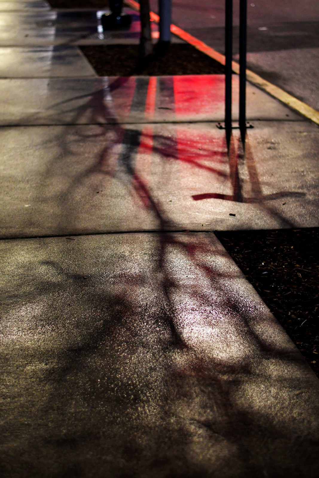 Staff Photo by Robin Rudd / The sidewalk along Main Street glistens as evidence of rain in the wee hours on February 21, 2023.