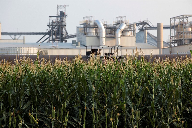 Corn stands near an ethanol refinery in Chancellor, S.D., in this 2021 file photo.
(AP)