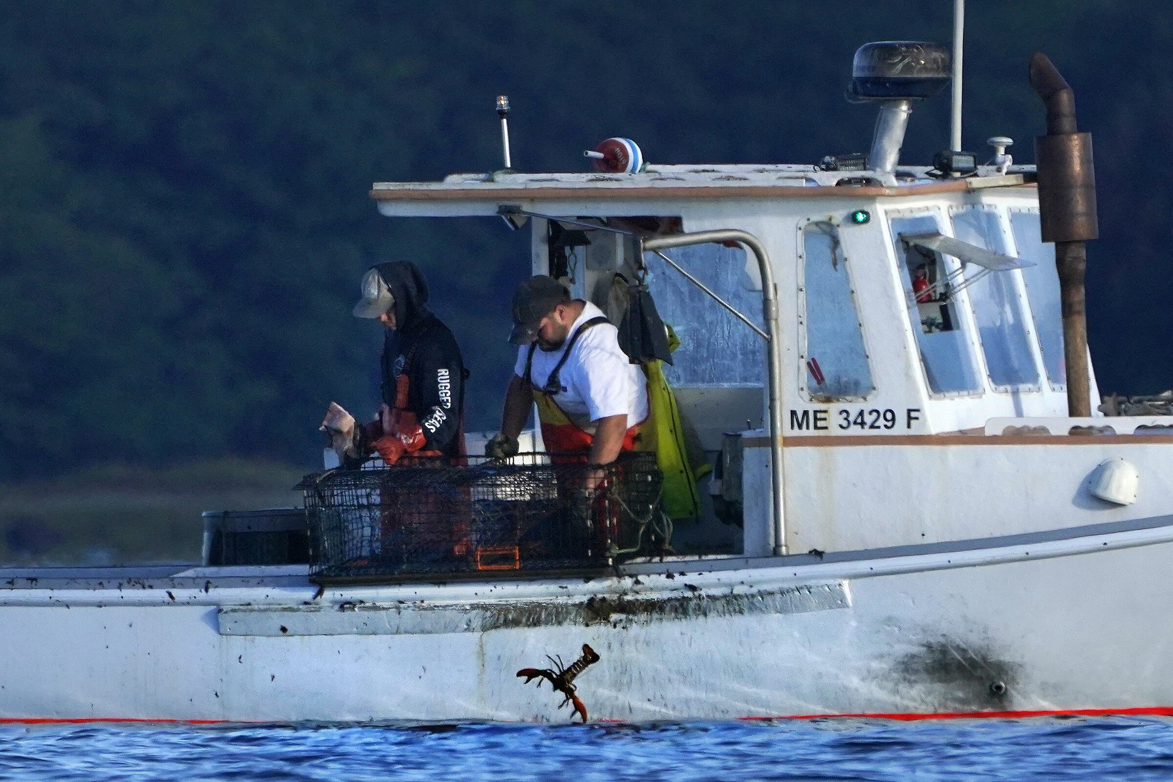 Mainers see lobster haul sink 11% in '22 - Vimarsana News