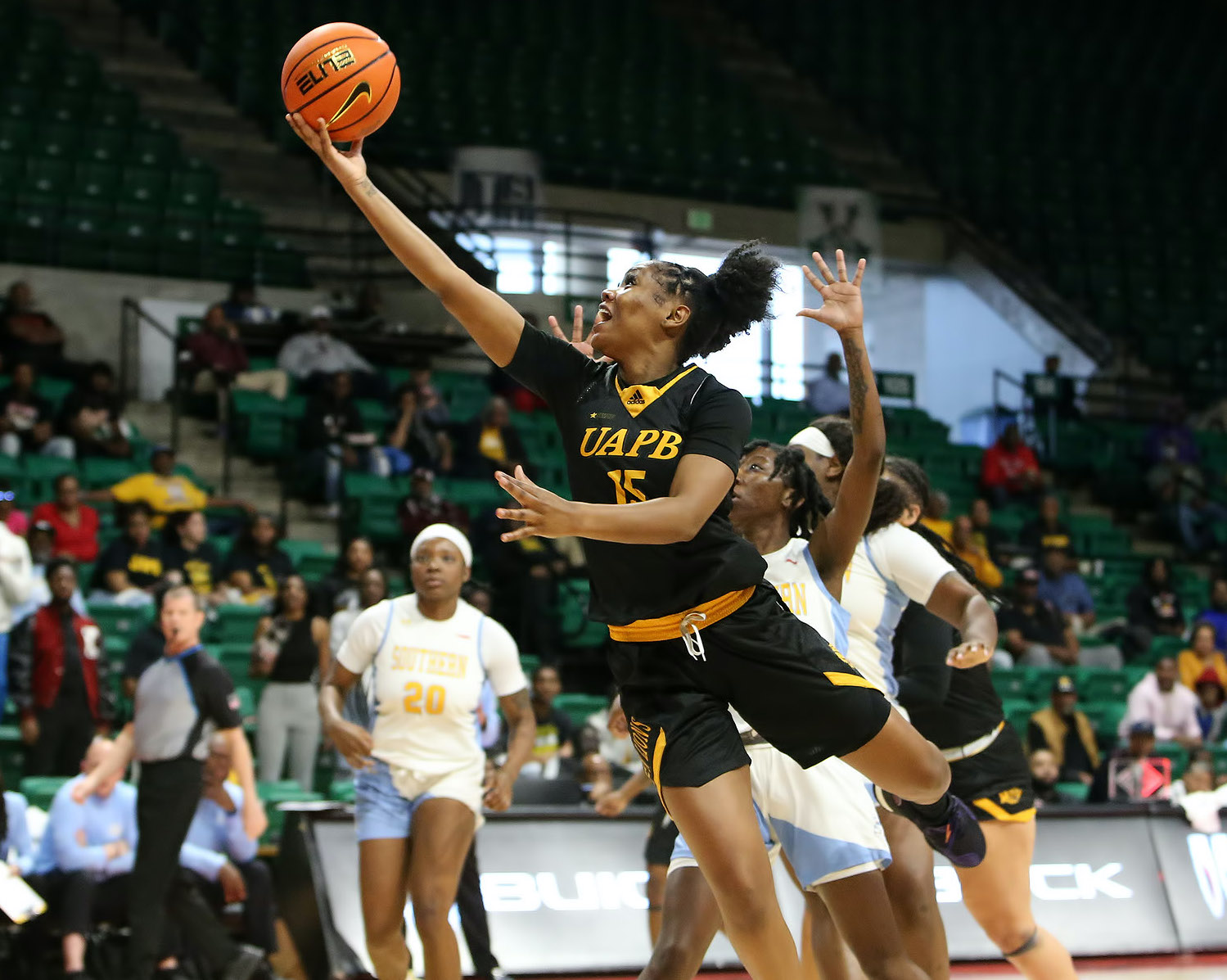 UA-Pine Bluff Lady Lions fall to Southern, 62-53, in SWAC tournament final