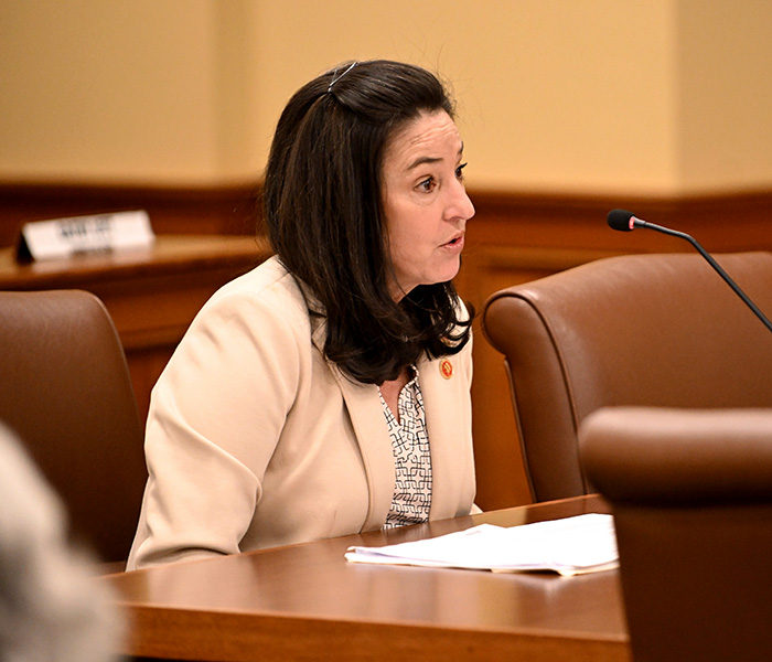 House Education Committee OKs measure barring requirement for employees of public schools, universities to participate in implicit bias training - Vimarsana News