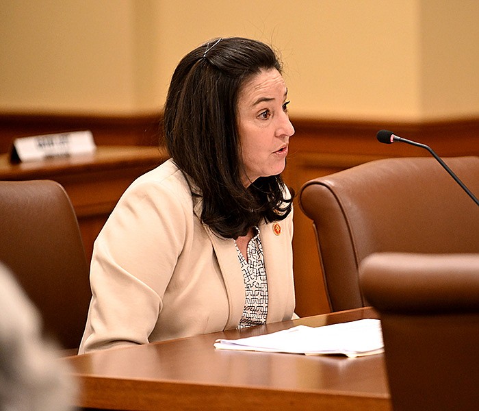 Rep. Mindy McAlindon, R-Centerton, answers questions about HB1559, which would bar schools from requiring a school employee to complete or participate in implicit bias training, during the House Committee on Education meeting Thursday at the state Capitol.
(Arkansas Democrat-Gazette/Staci Vandagriff)