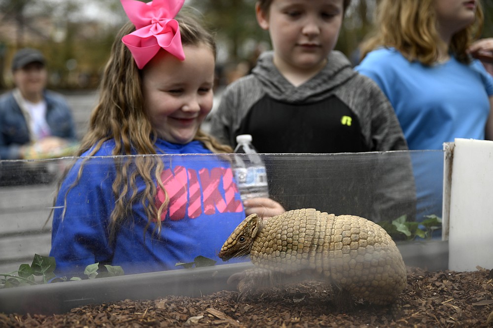 Zoo Spring Break The Arkansas DemocratGazette Arkansas' Best News