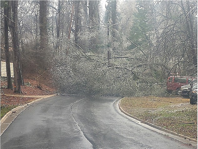 A downed tree off of Pear Street was just one of multiple incidents across Camden after an ice storm caused power outages. (Photo by Bradly Gill)