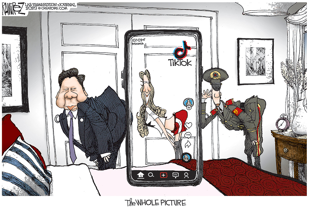 The Whole Picture