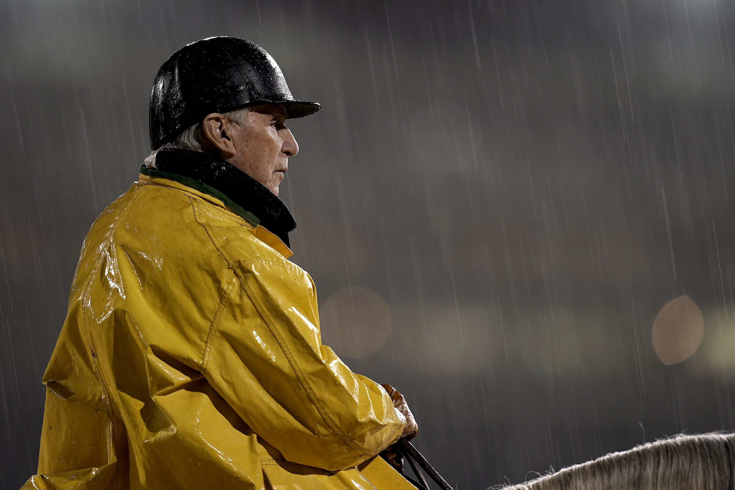 Trainer primer: Top horsemen eye Oaklawn's biggest prize - Vimarsana News