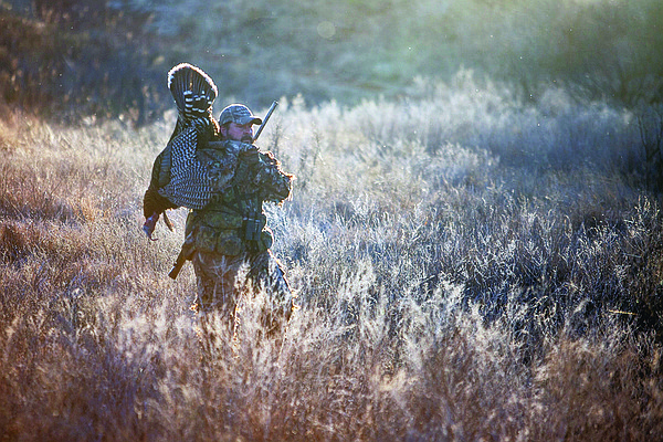 Driftwood Outdoors: Nebraska changes turkey hunting regulations - Vimarsana News