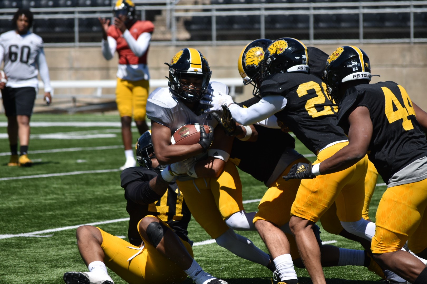 UAPB  picked last in SWAC