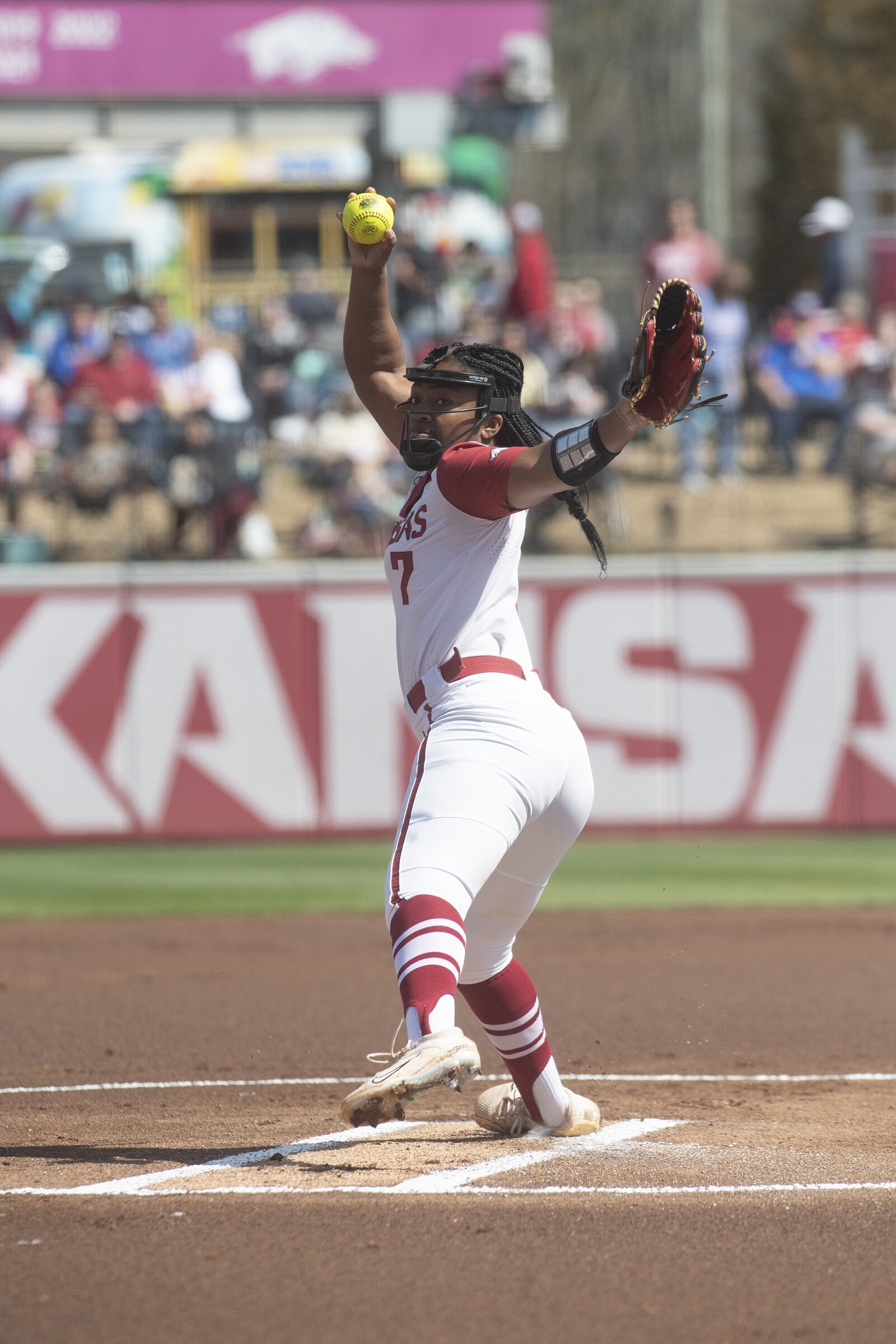 UA softball team seeks to rebound Northwest Arkansas DemocratGazette