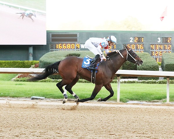 Mo Strike opens 3-year-old campaign in Bachelor Stakes - Vimarsana News