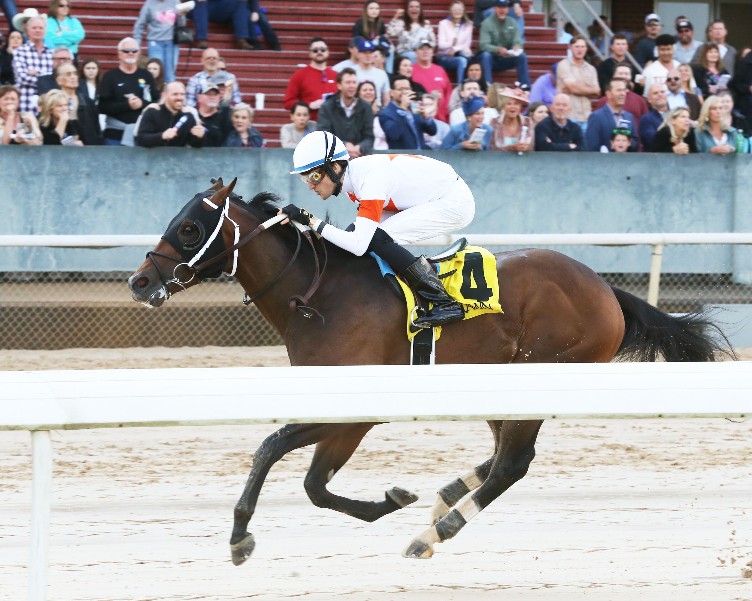 Coastal Charm, Ryvit get third wins of season - Vimarsana News
