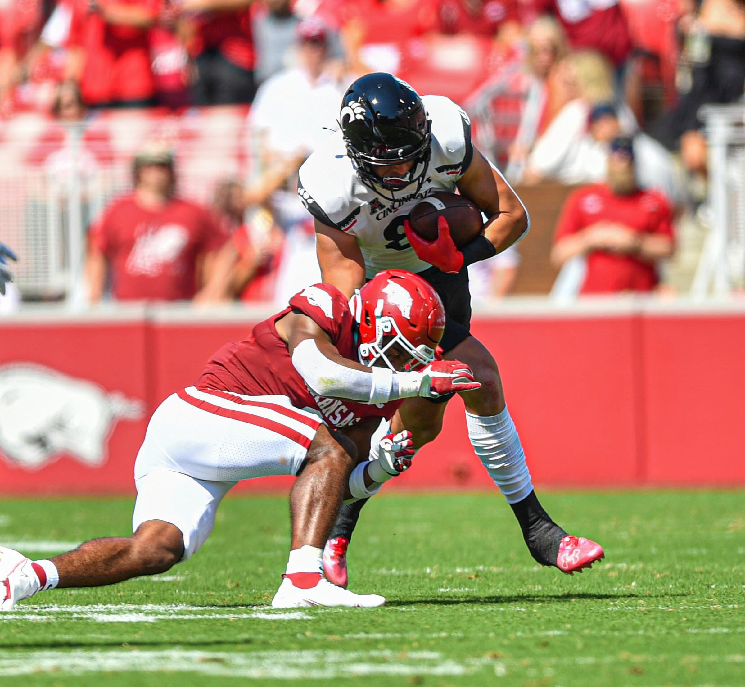 'It's our best players': Major injuries wreak havoc on Razorbacks - Vimarsana News
