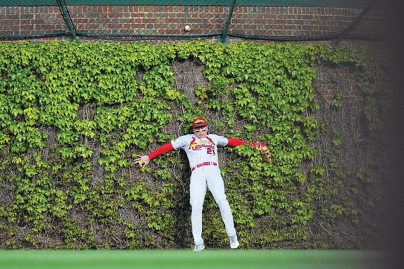 Wrigley Field Ivy Wall