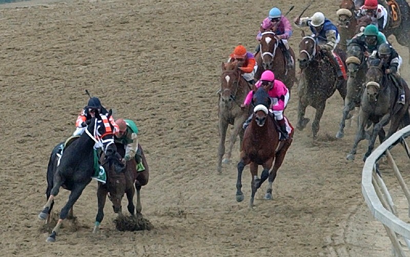 Race horses Afleet Alex and Scrappy T make contact during the 130th running of the Preakness Stakes on May 21, 2005, at Pimlico Race Course in Baltimore, Md. Despite falling to his knees, Afleet Alex would recover and win the race.
(Special to the Democrat-Gazette/Rick Samuel)