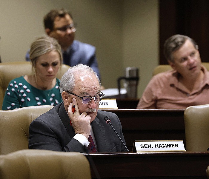 Sen. Kim Hammer, R-Benton, asks a question during the Arkansas Legislative Council meeting on Friday at the Multi-Agency Complex near the state Capitol in Little Rock.
(Arkansas Democrat-Gazette/Thomas Metthe)