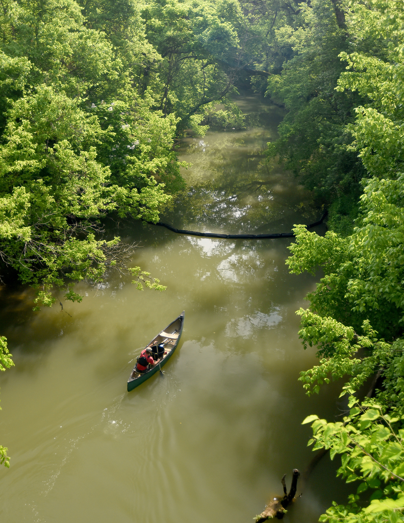 Staff photo by Matt Hamilton / Jack Bates with the Osprey Initiative paddles down Chattanooga Creek toward the trash boom on Tuesday, May 23, 2023.