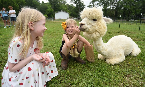 Special blend: Rosie Mae's in Northwest Georgia offers the unique combination of coffee, alpacas - Vimarsana News