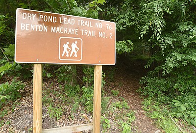 photo gallery