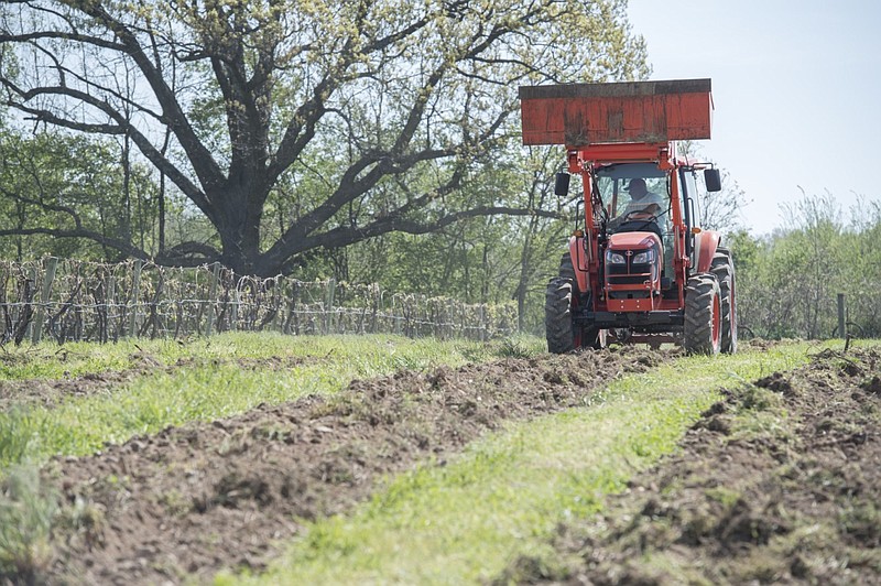 Chris Ranalli uses a tractor to prepare soil for grape vines at the Ranalli Family Farm in Tontitown in this April 12, 2017 file photo. (NWA Democrat-Gazette/J.T. Wampler)