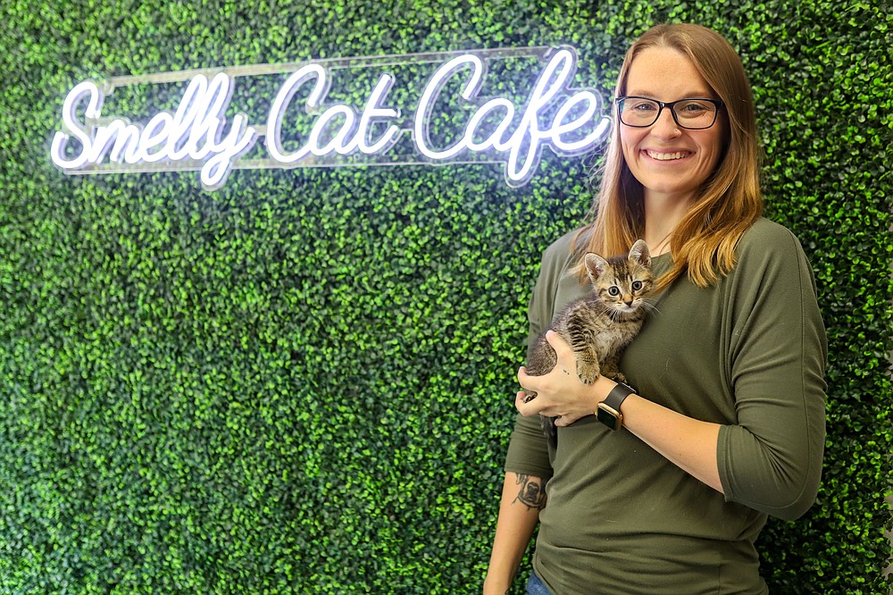 Smelly Cat Cafe Chattanooga Times Free Press
