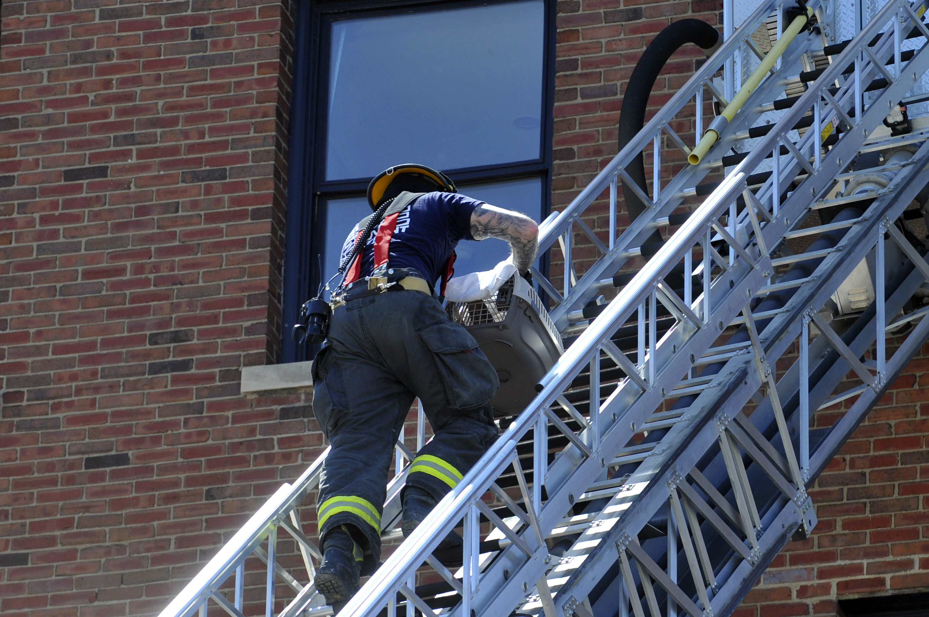 A Davenport firefighter brings down a pet in a pet carrier as search and rescue personnel work the part of The Davenport apartment looking for pets and people inside the partially collapsed building, Tuesday, May 30, 2023, in Davenport, Iowa. Five residents of a six-story apartment building that partially collapsed in eastern Iowa remained unaccounted for Tuesday, and authorities feared at least two of them might be stuck inside rubble that was too dangerous to search. (Gary Krambeck/Quad City Times via AP)