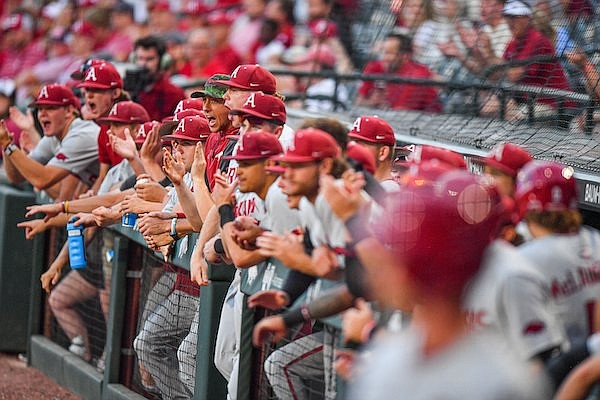 Arkansas players cheer from the dugout, Sunday, June 4, 2023, during the first inning against the Santa Clara Broncos in an elimination game of the NCAA Fayetteville Regional at Baum-Walker Stadium in Fayetteville.