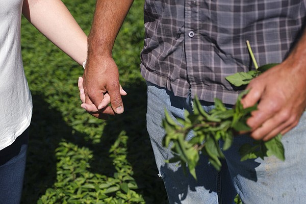 Agri conference will discuss farm inheritance, health care - Vimarsana News