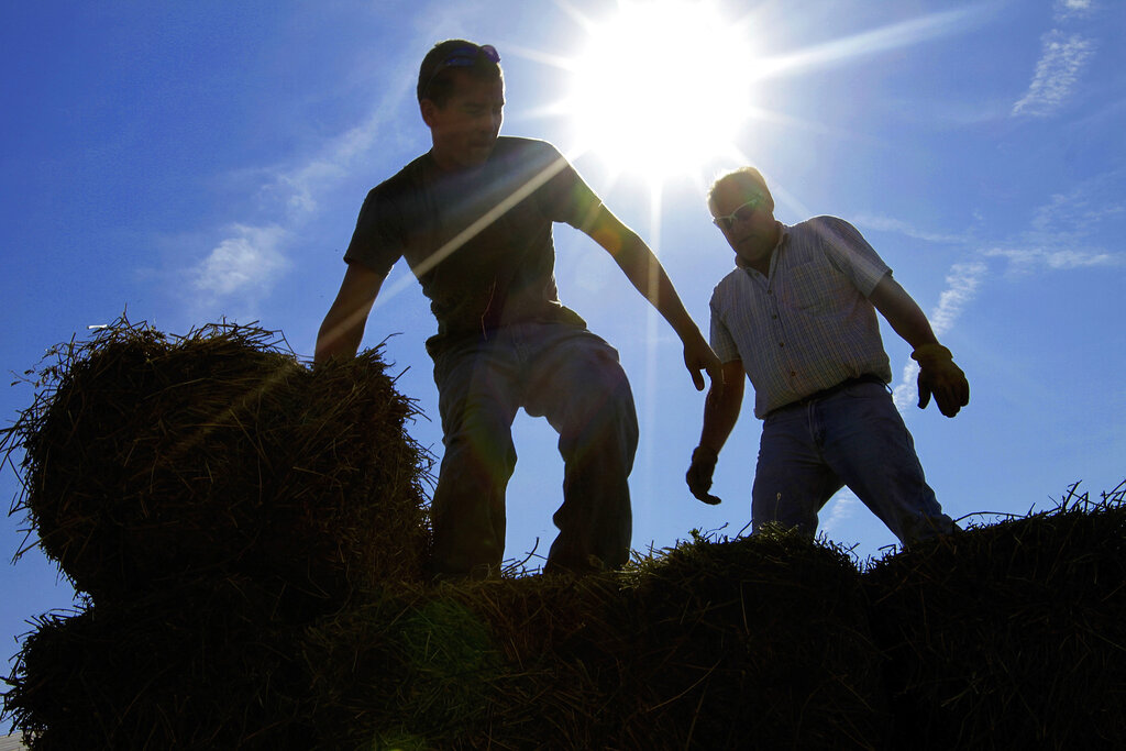 Dryness of fields worries Arkansas ranchers