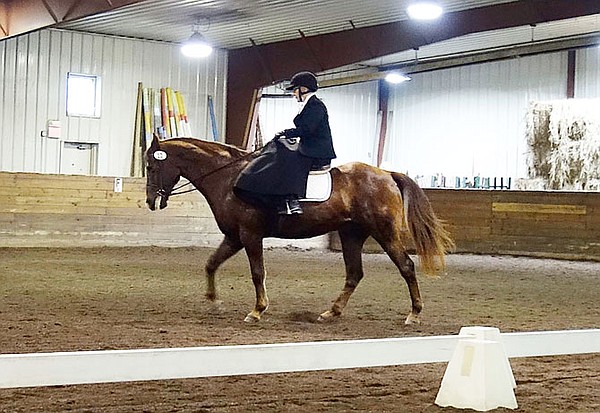 William Woods equestrian program hosts education program - Vimarsana News