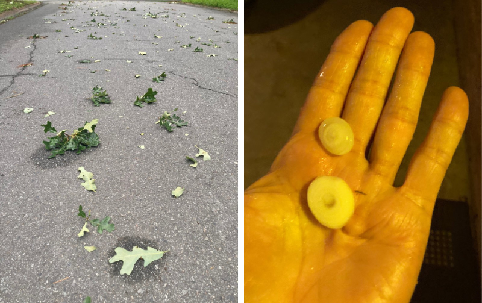 Summer storm’s hail hit quickly