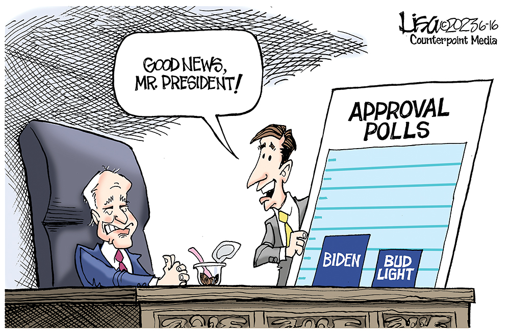 Approval Polls