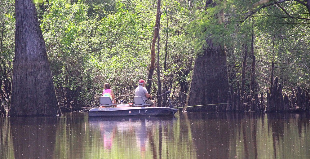 White River refuge biggest, wildest Big Woods destination in Arkansas