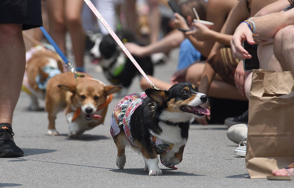 parade, June 17, 2023 Chattanooga Times Free Press