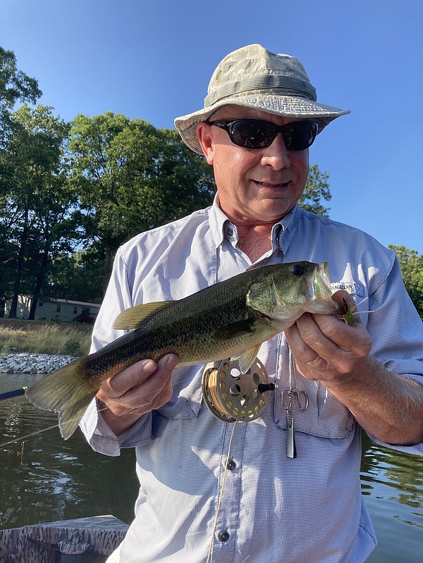 Bass in the grass - Vimarsana News