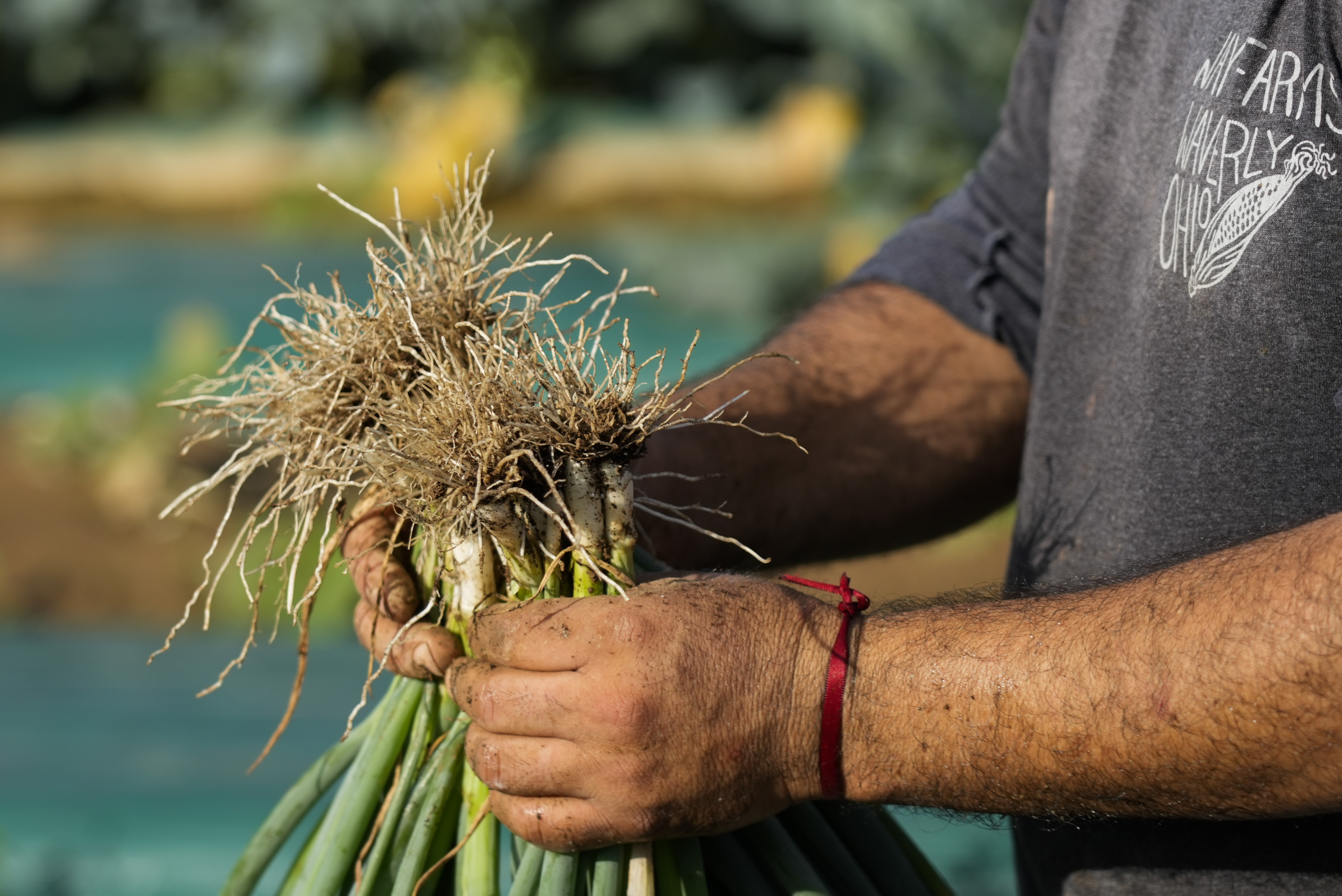Farm credit leaders seek better safety net with next farm bill - Vimarsana News
