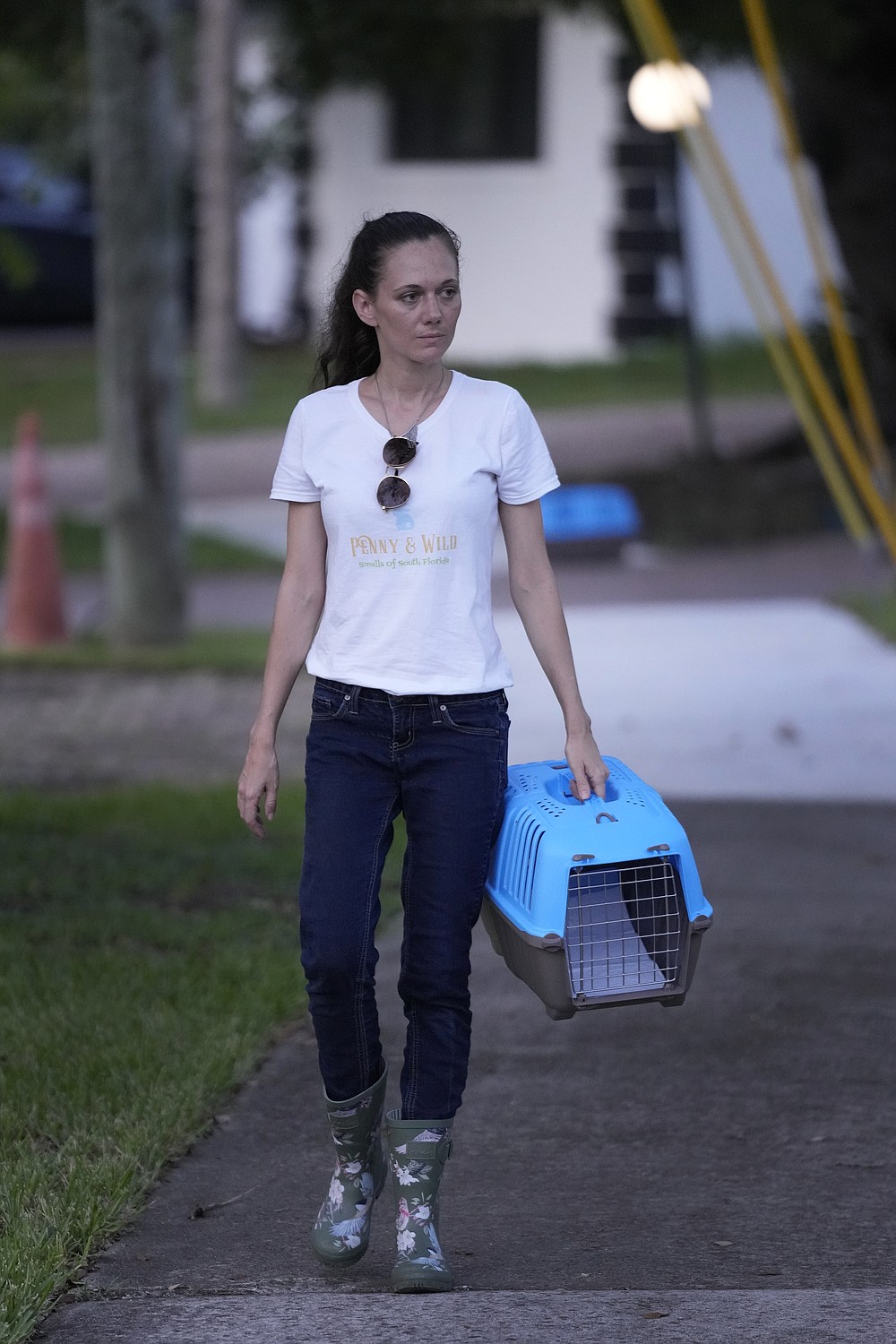 Rabbits running loose in Florida neighborhood | Chattanooga Times Free