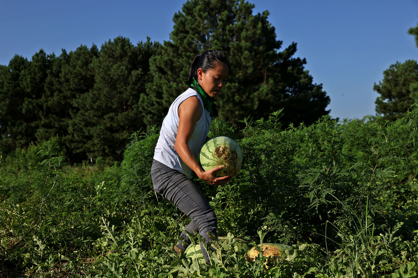 Arkansas Hunger Relief Alliance hosts melon event Northwest Arkansas