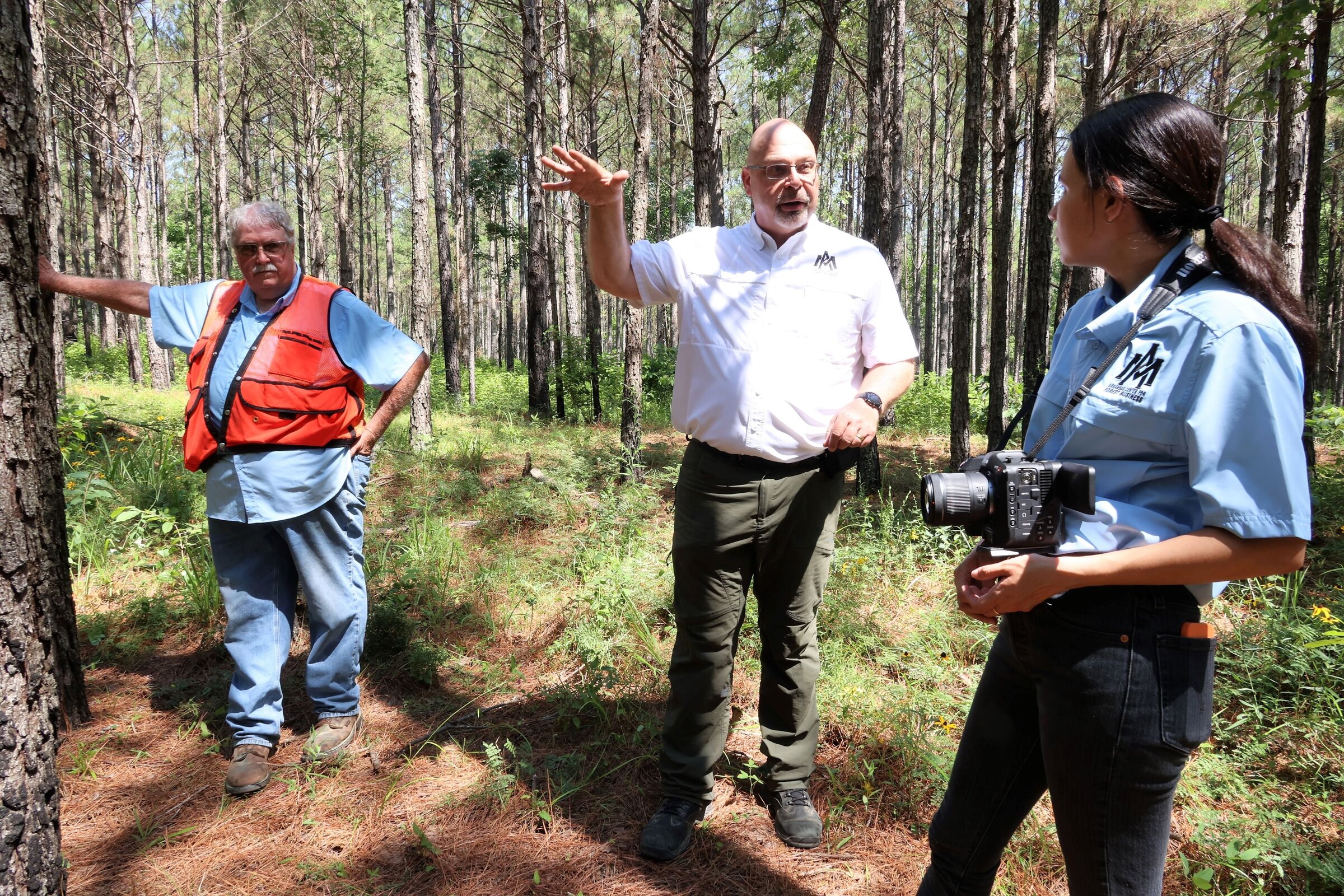 UAM adds Forest Business program