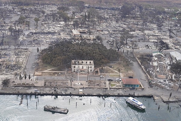 Historic 150-year-old banyan tree another fire victim - Vimarsana News