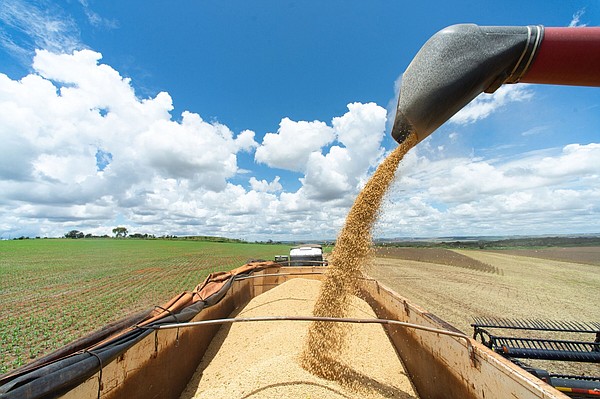 Food producers challenge EU deforestation rules - Vimarsana News