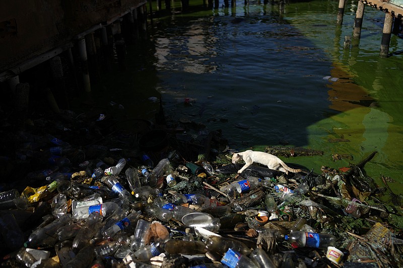 Pollution in Venezuela's Lake Maracaibo threatens life in one of the ...