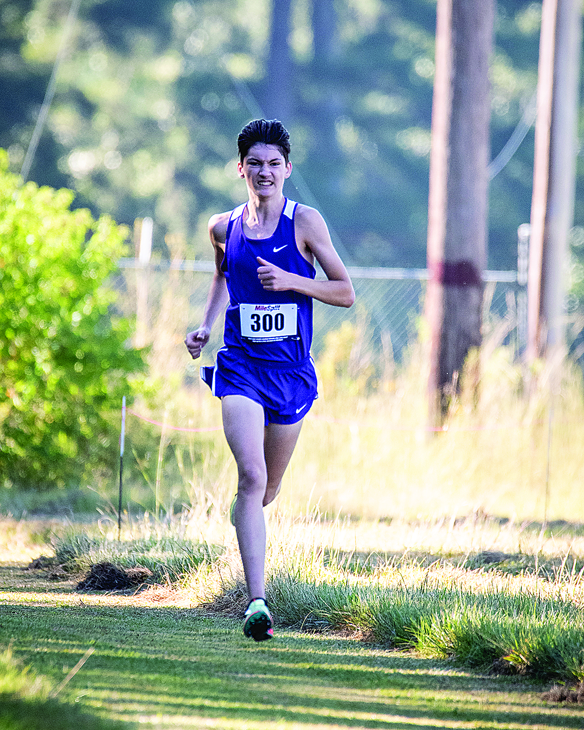 Wildcats to field strong cross country team - Vimarsana News