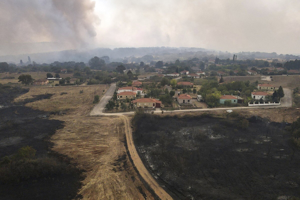 Firefighters save 25 migrants in Greek forest as blaze raged