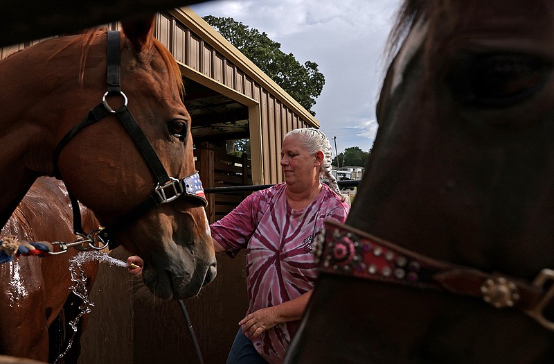 60th annual Arkansas horse show in Little Rock sees uptick in