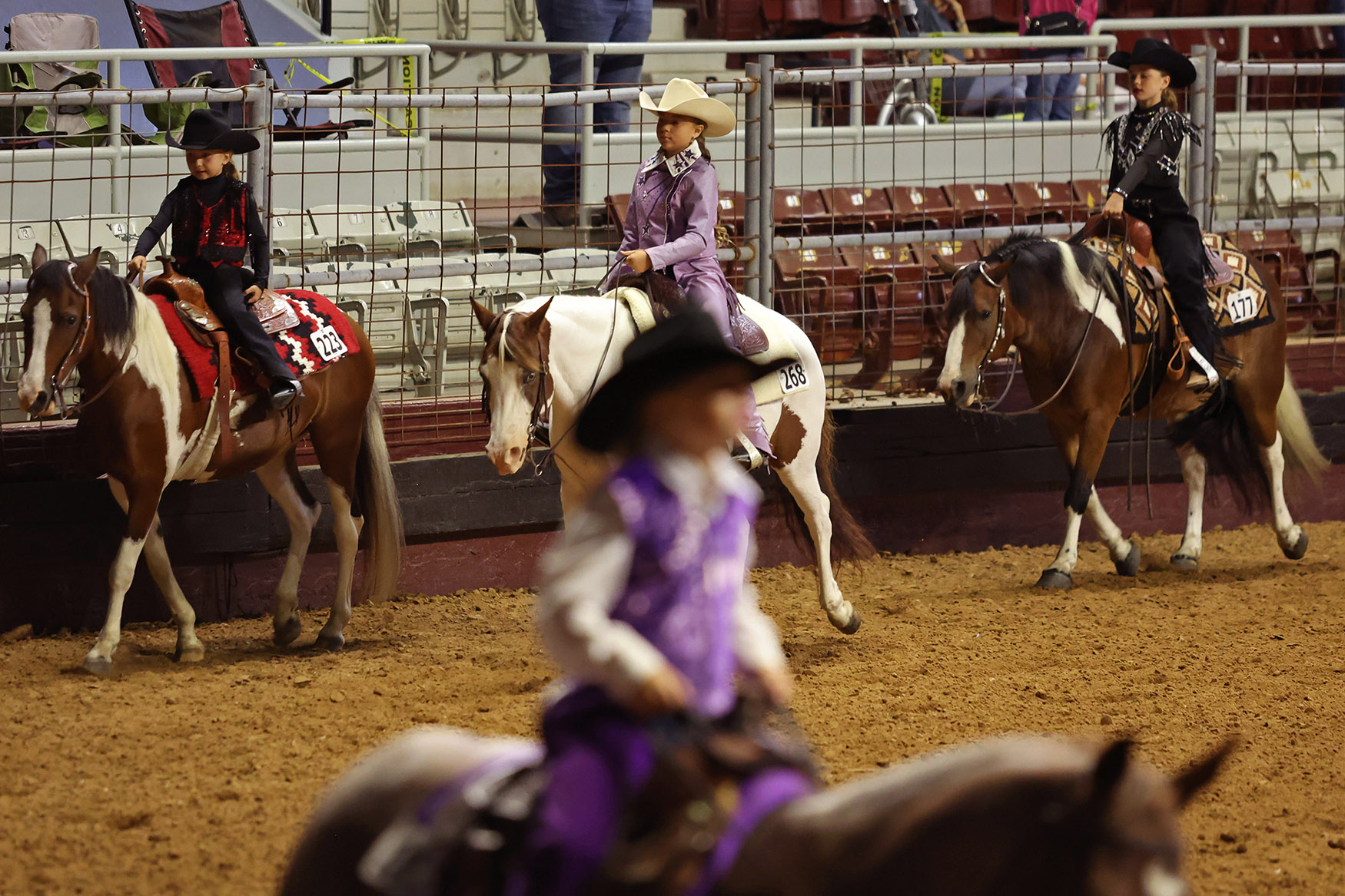 60th annual Arkansas horse show in Little Rock sees uptick in ...