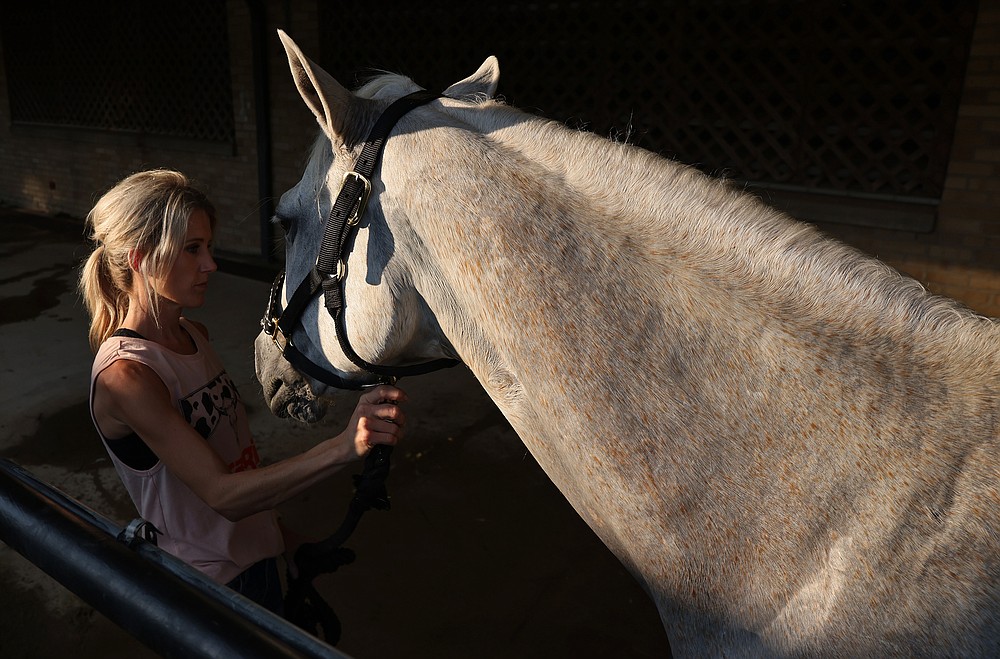 Arkansas State Championship Horse Show The Arkansas DemocratGazette