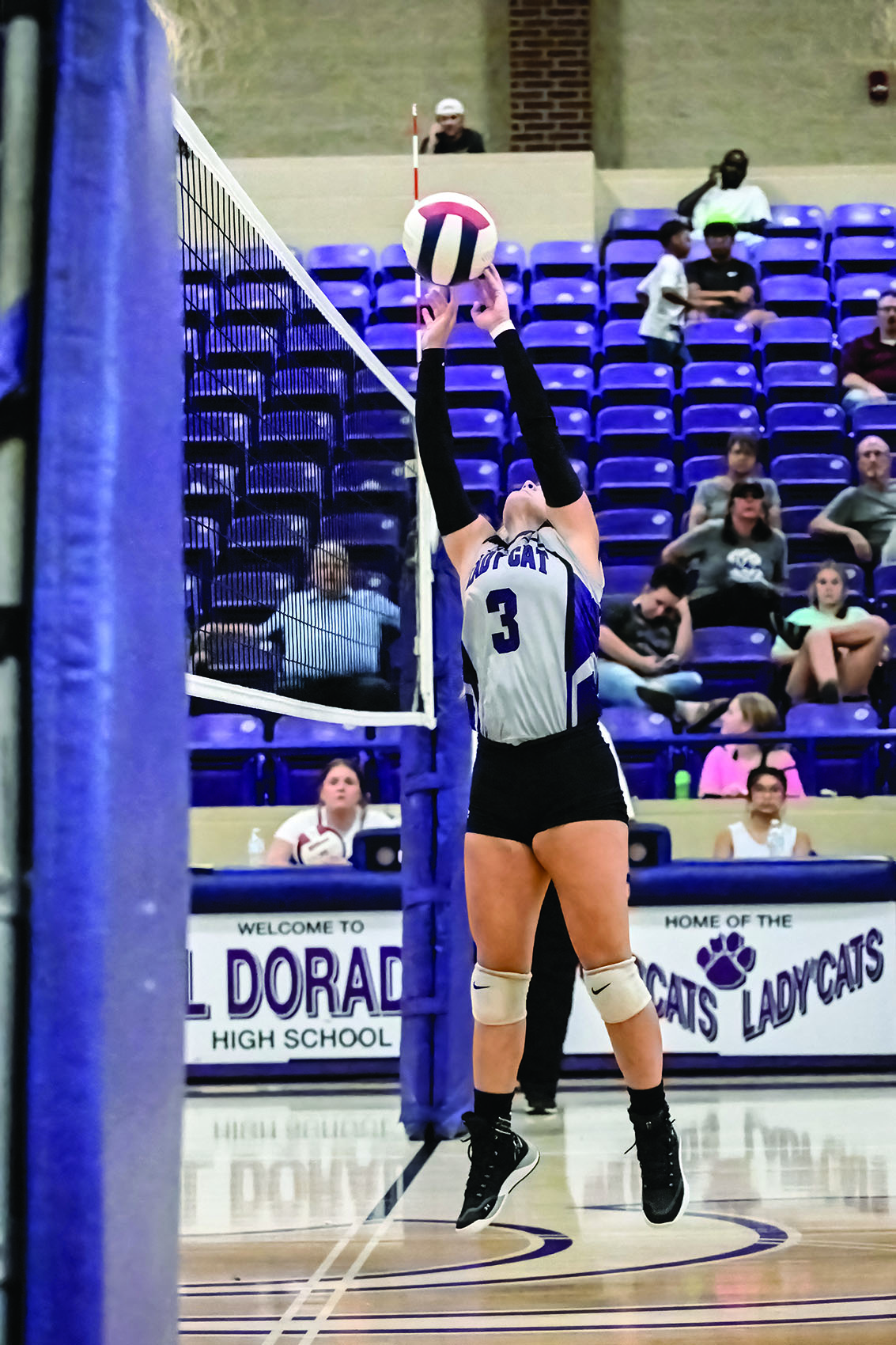 Lady Wildcats to host Texarkana - Vimarsana News
