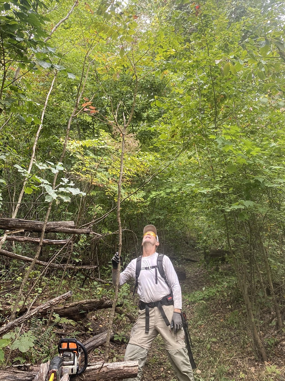 Ozark Highland Trail Repost for better info. gathering. Posting packing  list so far : r/bigfoot