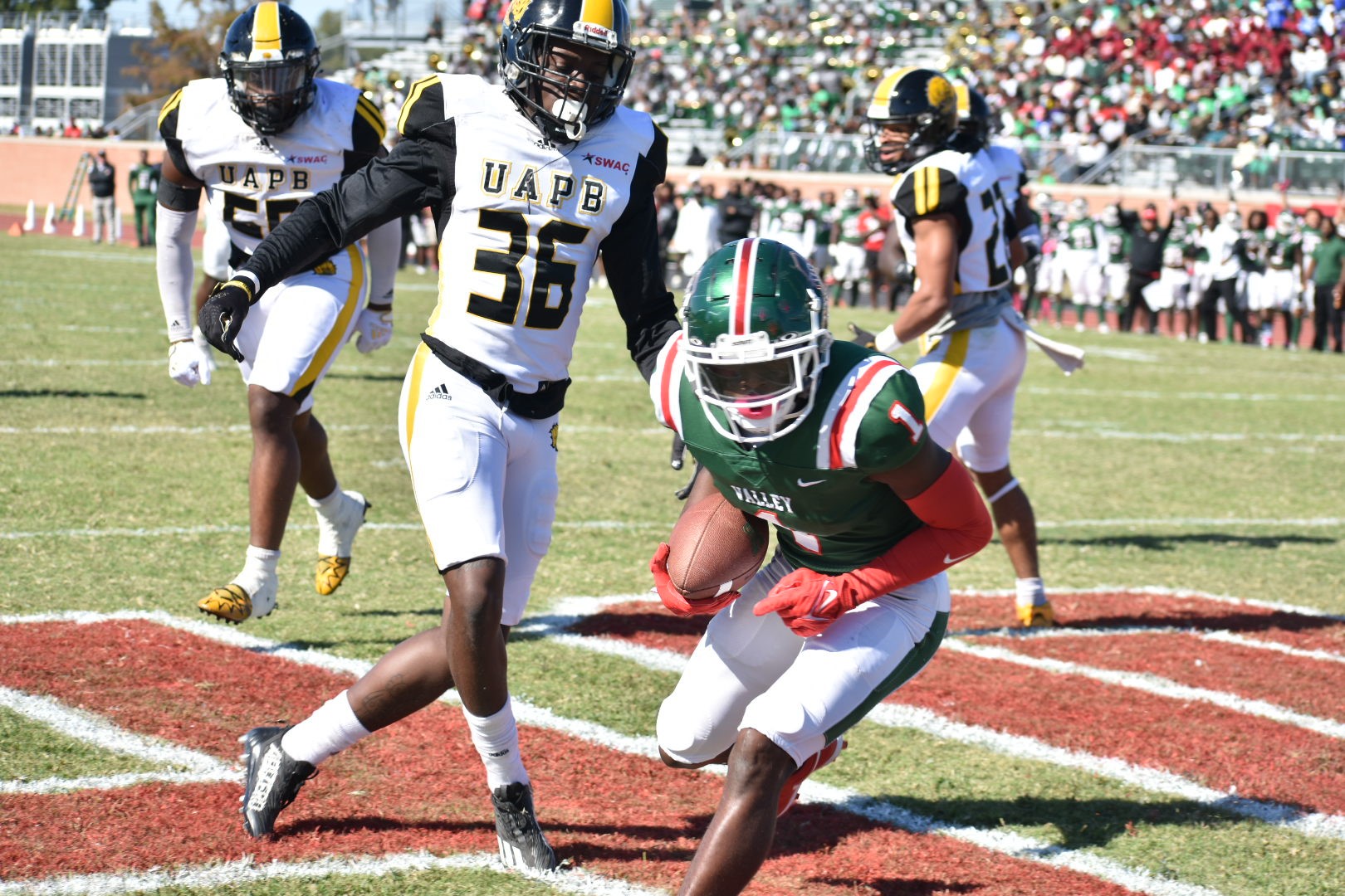 UA-Pine Bluff falls at Mississippi Valley State, 42-17